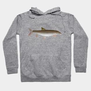 Barbel Hoodie